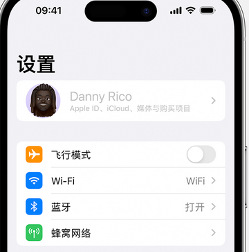 新村镇appleID维修服务iPhone设置中Apple ID显示为灰色无法使用