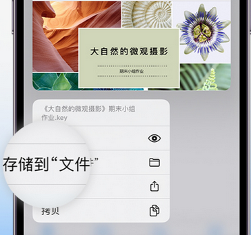 新村镇apple维修中心分享iPhone文件应用中存储和找到下载文件