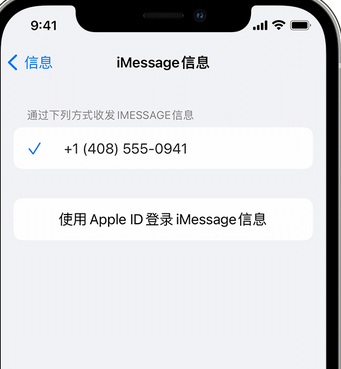 新村镇apple维修iPhone上无法正常发送iMessage信息 