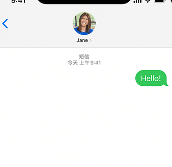 新村镇apple维修iPhone上无法正常发送iMessage信息