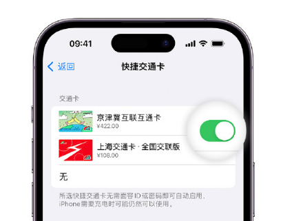 新村镇apple维修点分享iPhone上更换Apple Pay快捷交通卡手绘卡面 