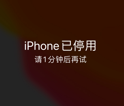 新村镇苹果手机维修分享:iPhone 显示“不可用”或“已停用”怎么办？还能保留数据吗？ 