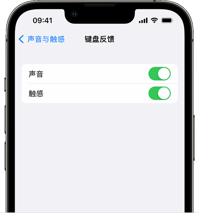 新村镇苹果14维修店分享如何在 iPhone 14 机型中使用触感键盘 