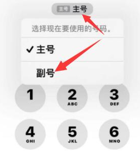 新村镇苹果14维修店分享iPhone 14 Pro Max使用副卡打电话的方法 