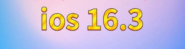 新村镇苹果服务网点分享苹果iOS16.3升级反馈汇总 