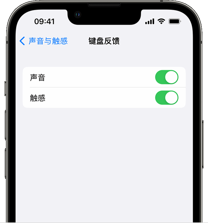 新村镇苹果14维修分享iPhone 14 系列机型如何开启键盘声音或触感反馈 