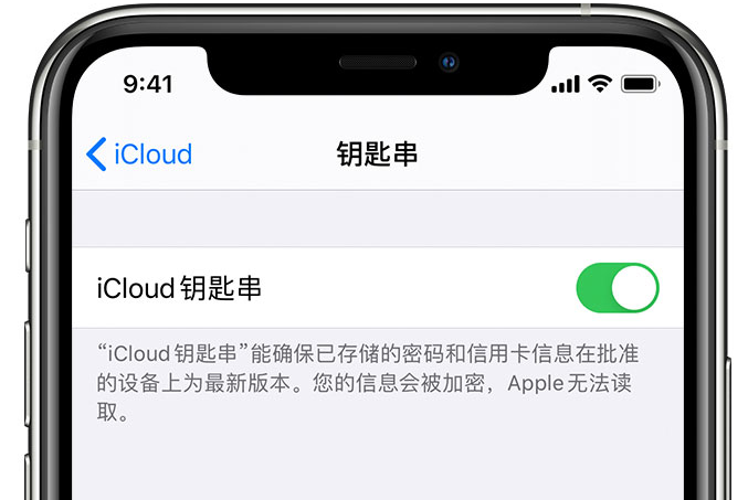 新村镇苹果手机维修分享在 iPhone 上开启 iCloud 钥匙串之后会储存哪些信息 