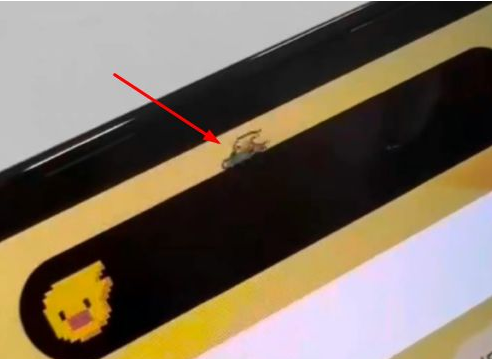 新村镇苹果14维修分享iPhone 14 Pro Max灵动岛怎么养宠物 