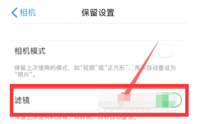 新村镇苹果13维修分享iPhone13拍照有绿点是怎么回事 