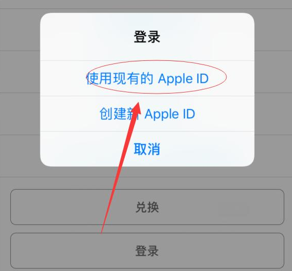 新村镇苹果手机维修分享两台iPhone设备可以同时登录一个Apple ID吗 